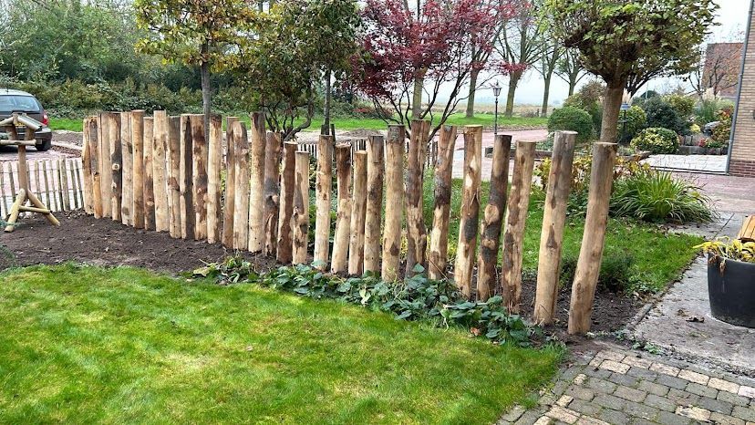 Kastanje palen staan midden in een weelderige groene tuin.