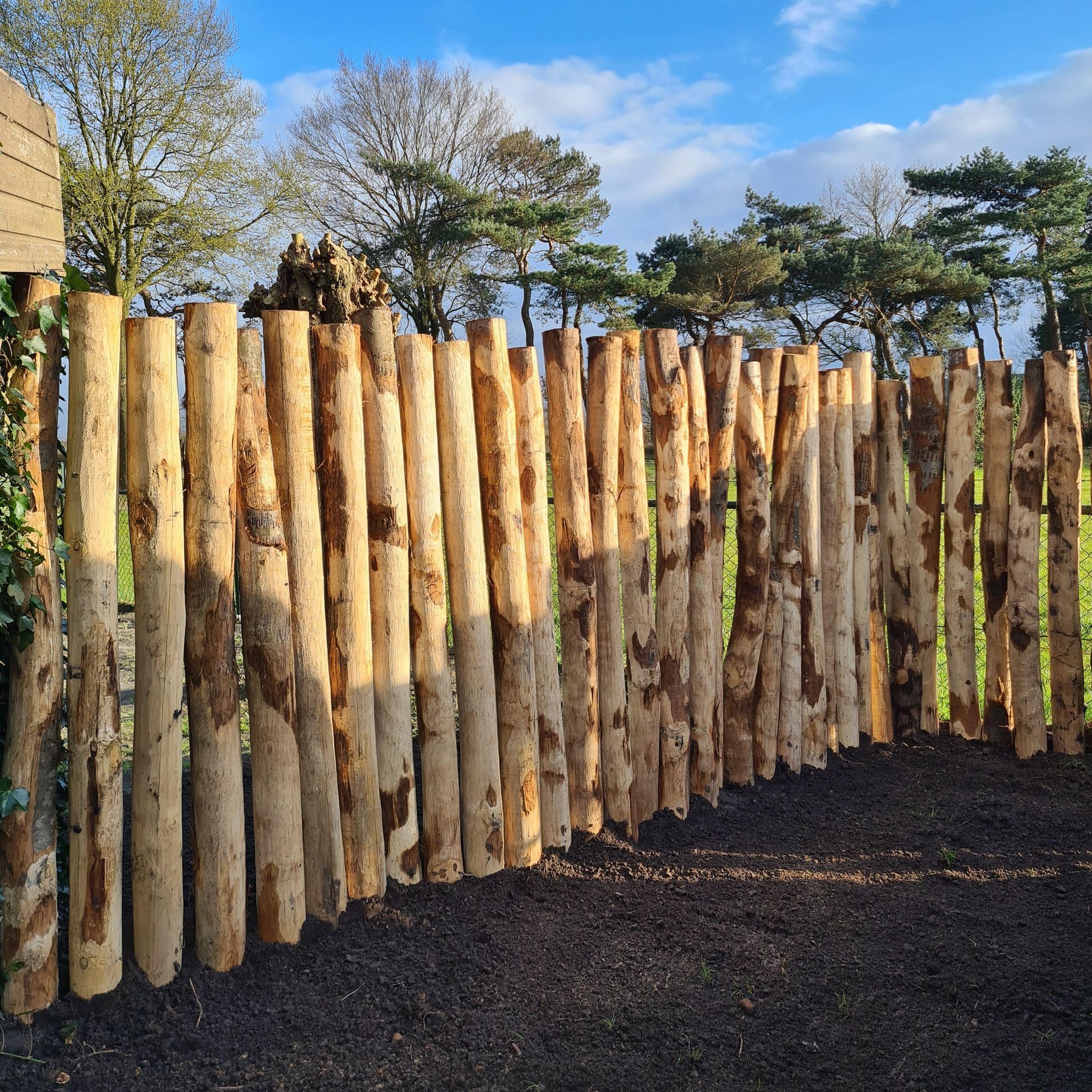 Kastanje houten palen als schutting met bomen op de achtergrond