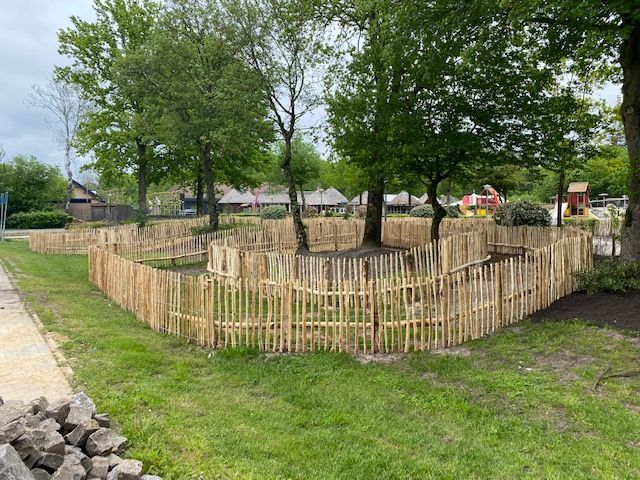 Robinia hekwerk omringt een grasveld in een park.