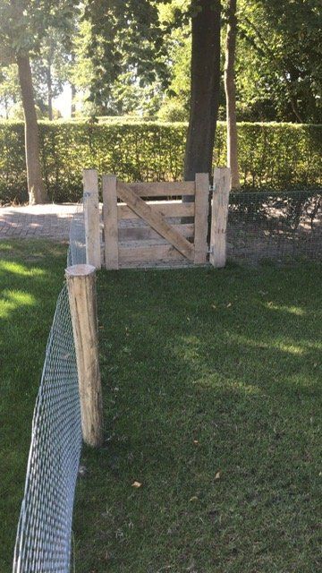 Een robinia landhek staat midden in een weelderig groen veld naast schapengaas met robinia palen.