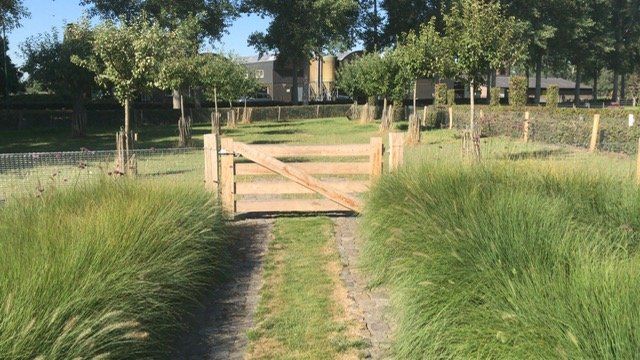 Midden in een grasveld staat een robinia landhek.