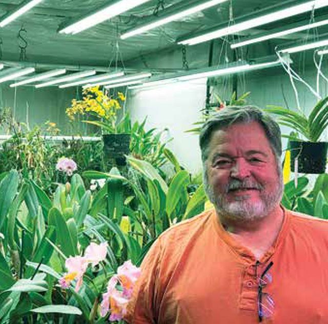 Diamond Award Winners | Orchid Digest