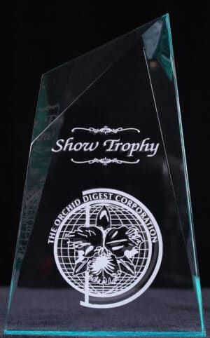 A clear glass trophy with the words show trophy on it