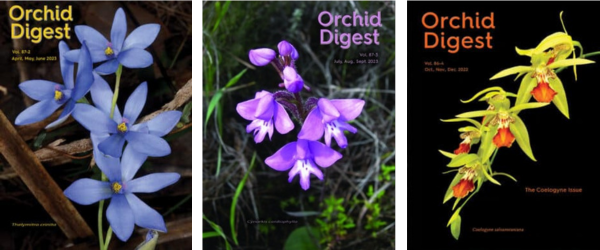 Orchid Digest Covers