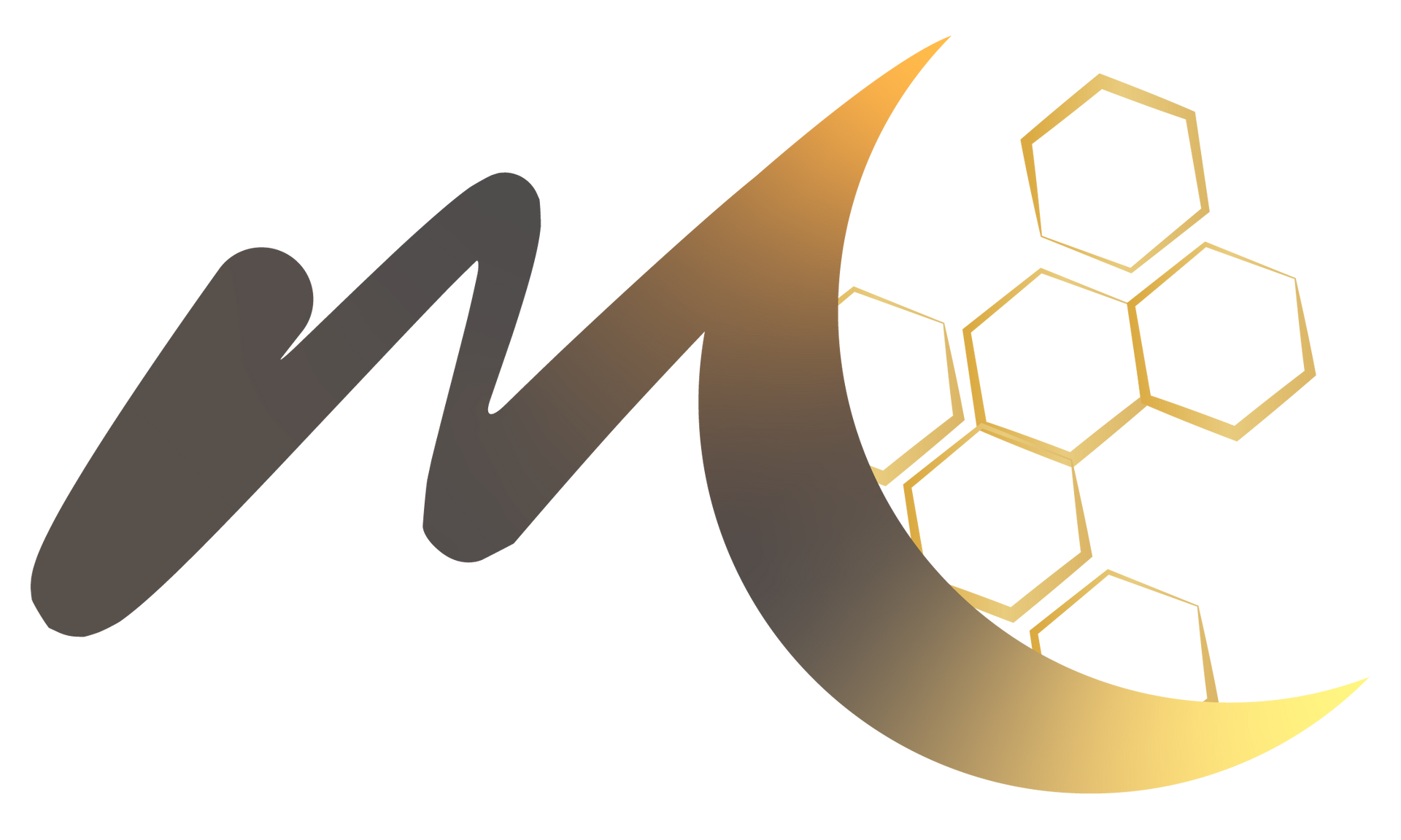 Lisa Topham, RN Logo