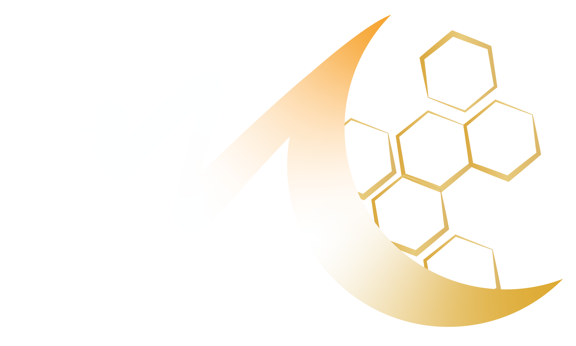 Lisa Topham, RN Logo