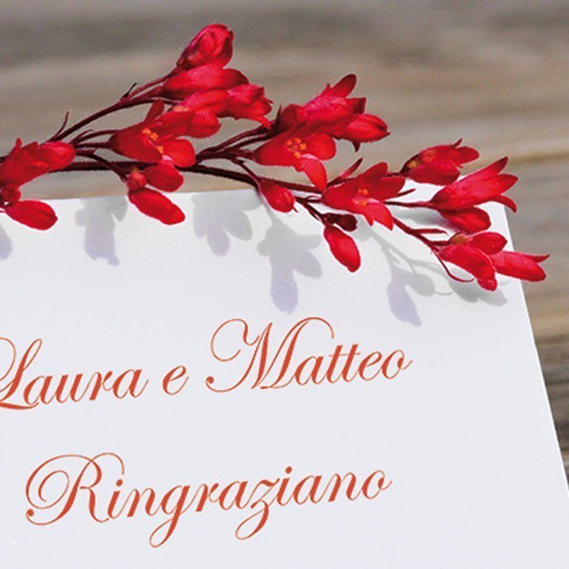 Biglietti di ringrazuambe