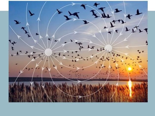 naar de informatie over magneetkracht ENERGETIX magneetkracht