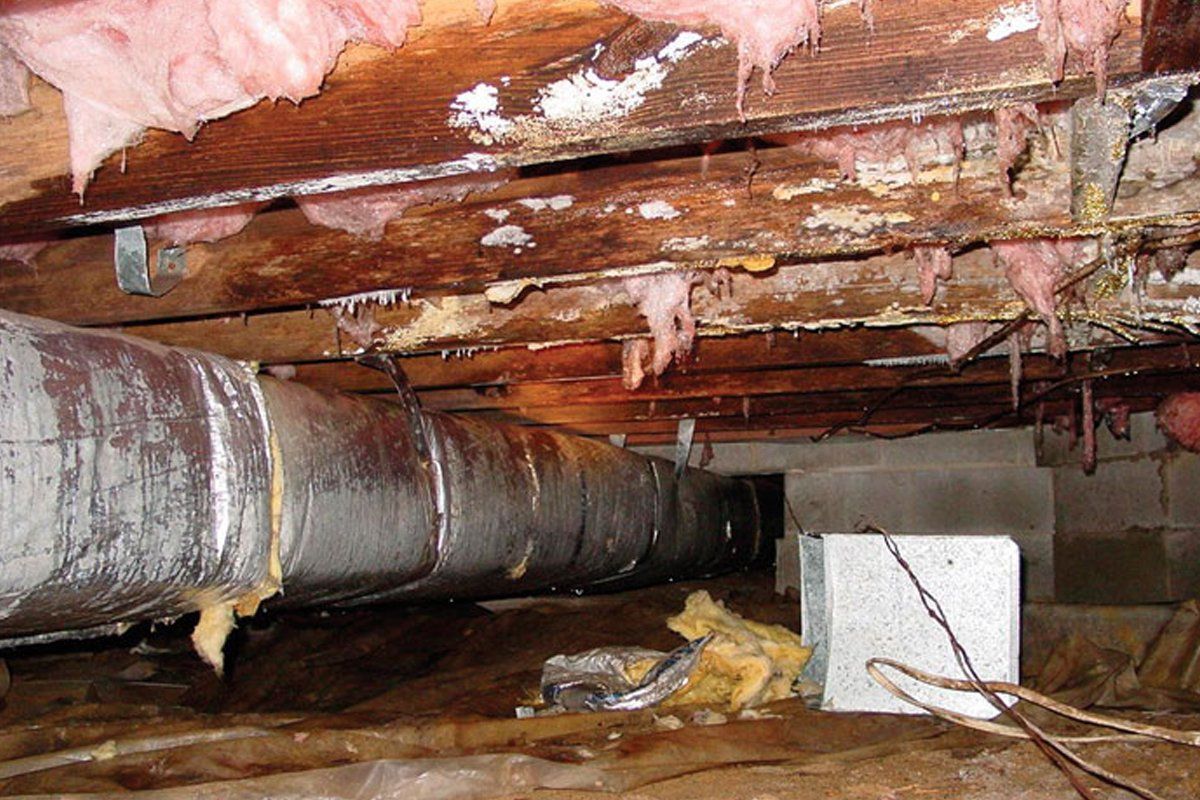 crawlspace damage