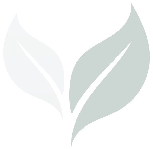 Sheridan James, MD concierge internal medicine logo leaf design