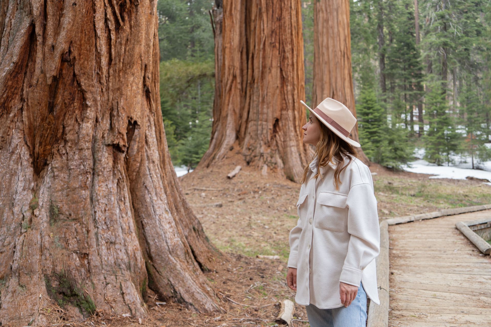 A woman in a hat is standing next to a large tree in the woods.