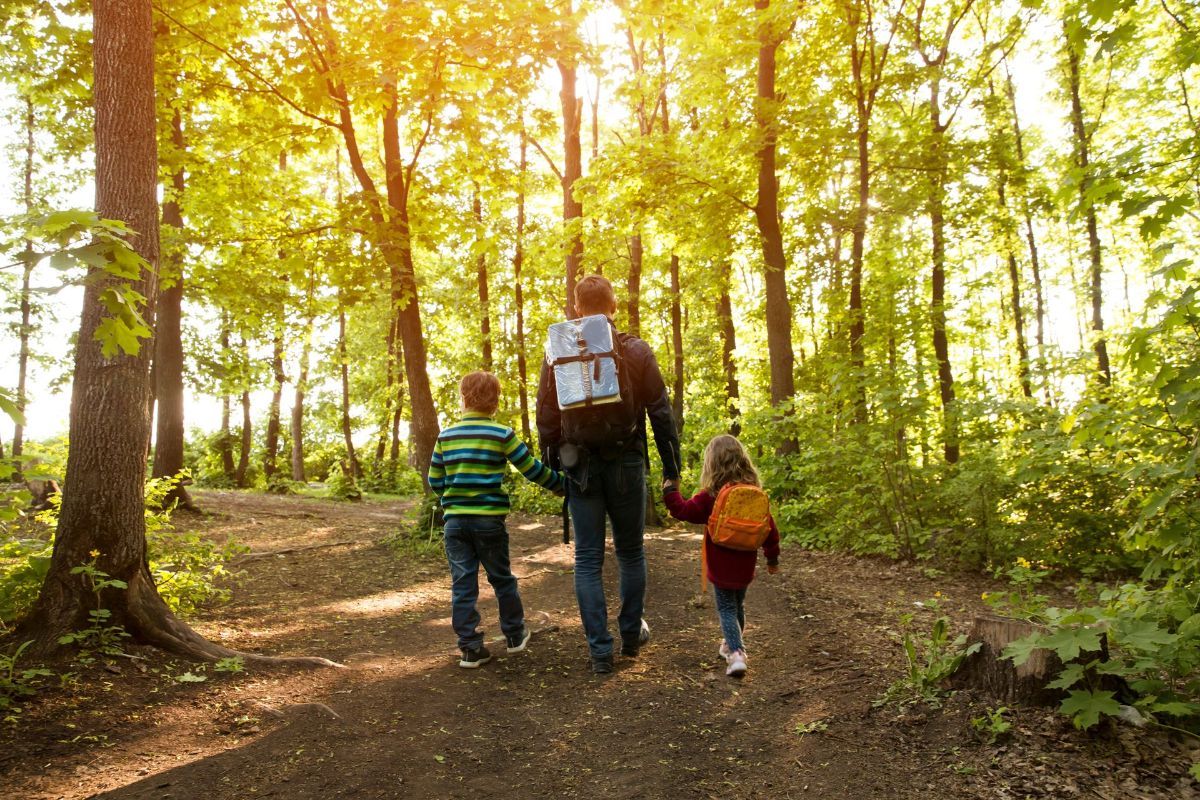A man and two children are walking through the woods holding hands.