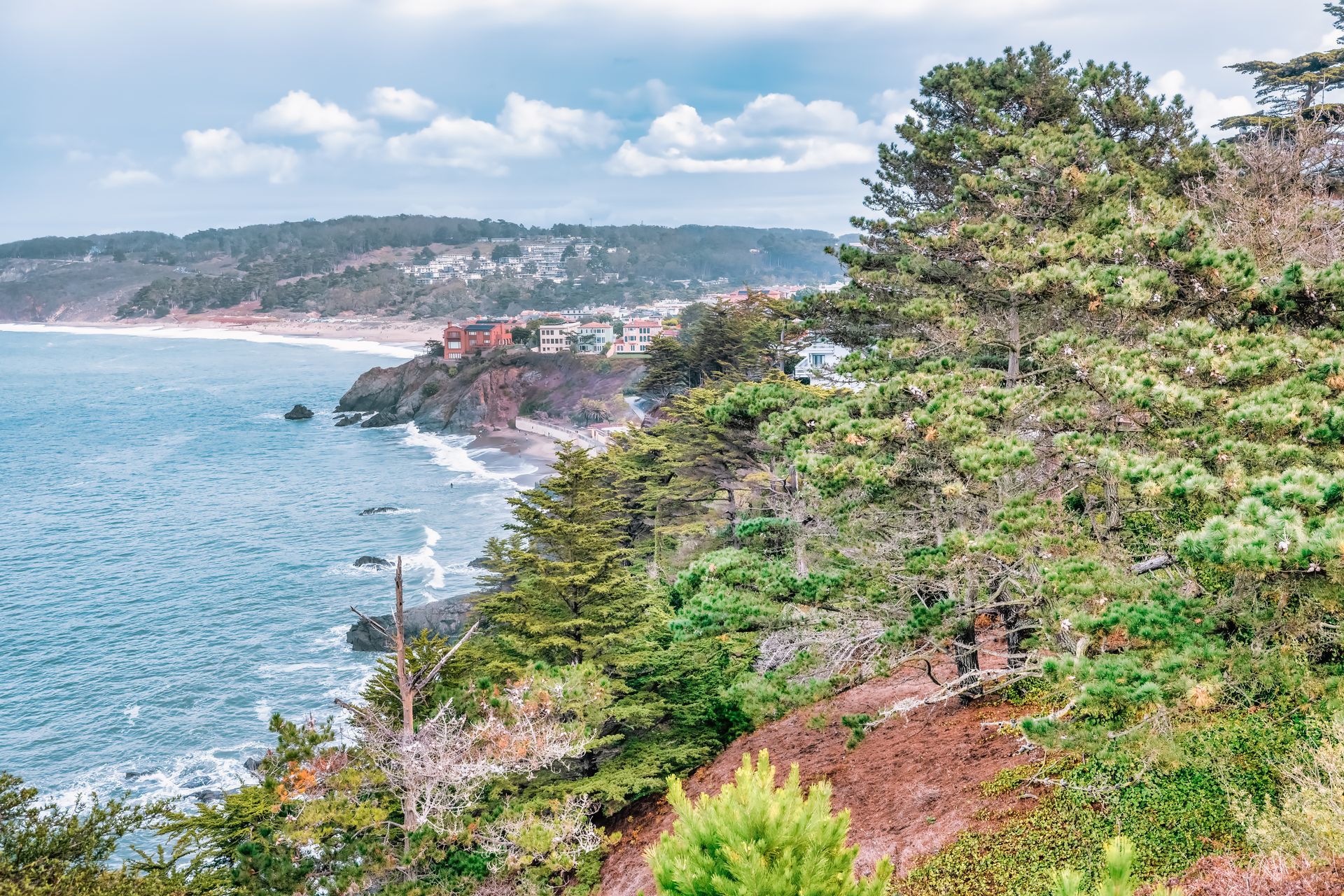 A cliff overlooking a body of water with trees on the side of it.