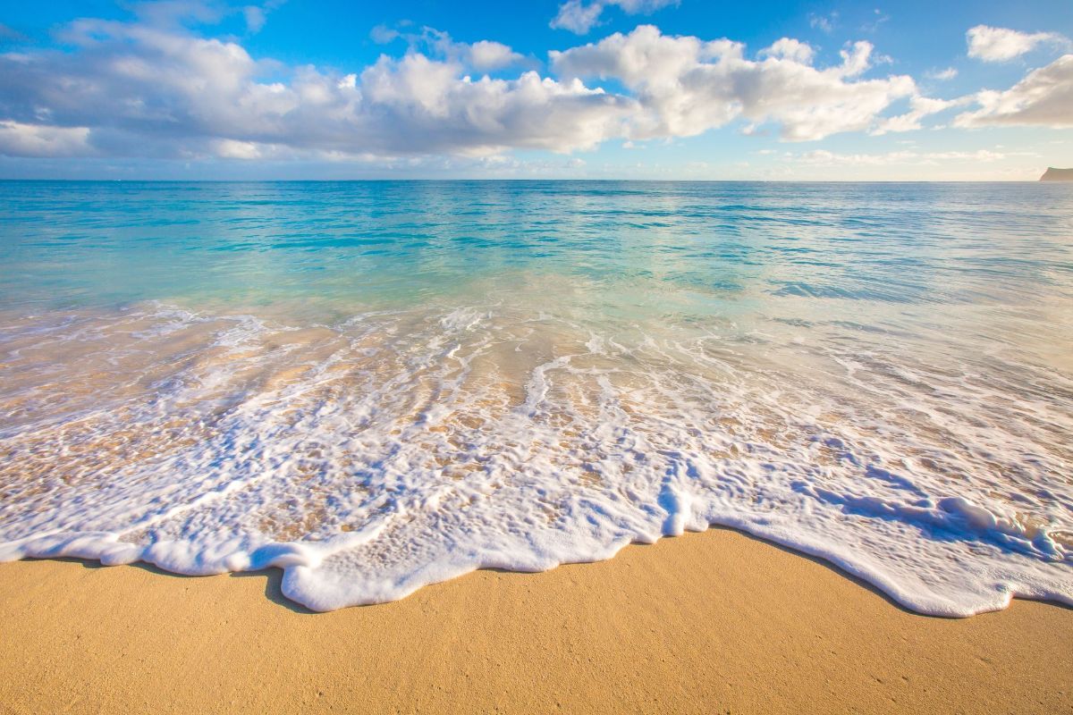 A wave is breaking on a sandy beach with a blue sky in the background.