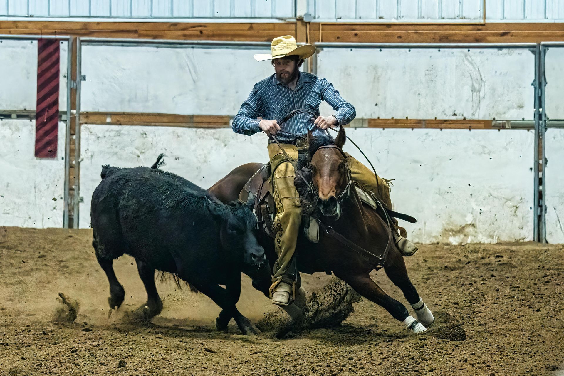 A man riding a horse with a bull behind him