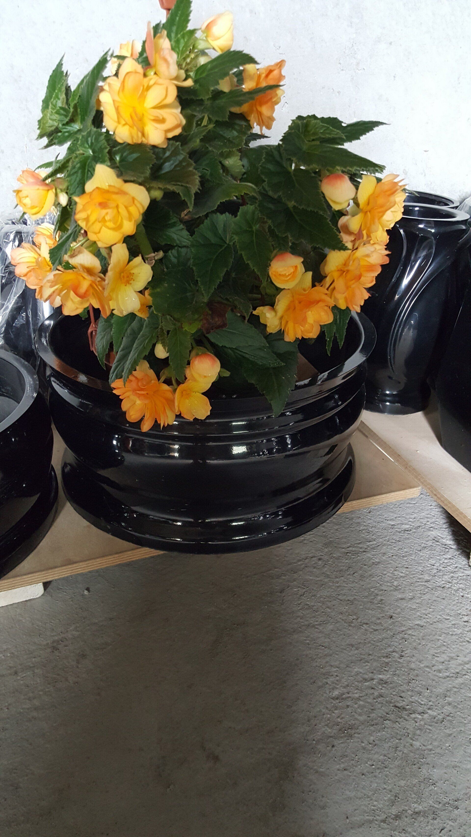 kapaviečių elementai Šilalėje