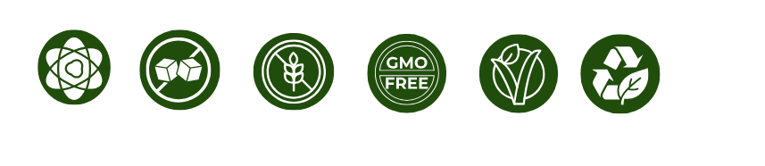 Six green circular icons representing: chemical-free, sugar-free, gluten-free, GMO-free, vegan, and recyclable.