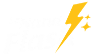 La Nana Flash logo