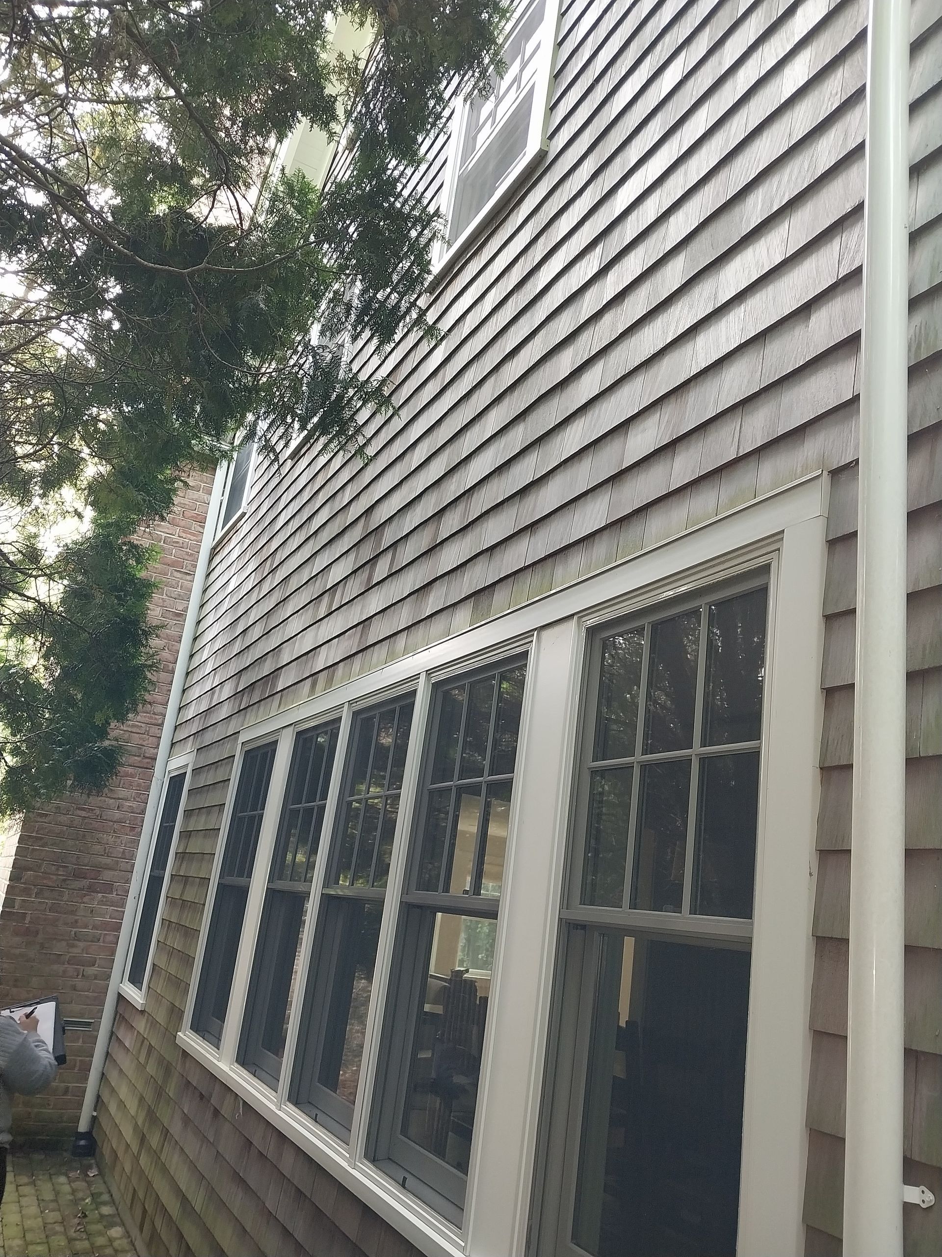Side of a house with light brown cedar shingles and white-framed windows. A white downspout runs down the side.