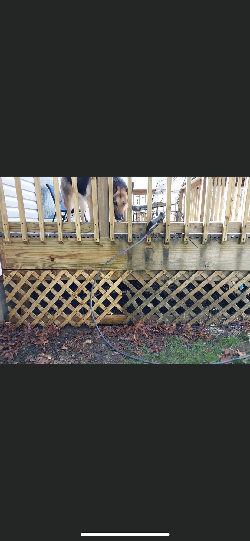 A person looks through the railing of a wooden deck. The deck has lattice work underneath and sits on grass.