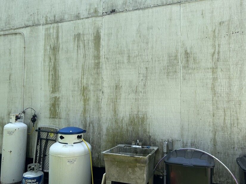 Exterior wall with green algae stains, propane tanks, and an old sink.