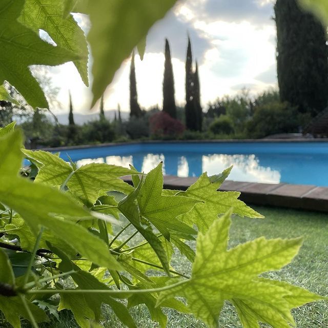 Piscina con piante