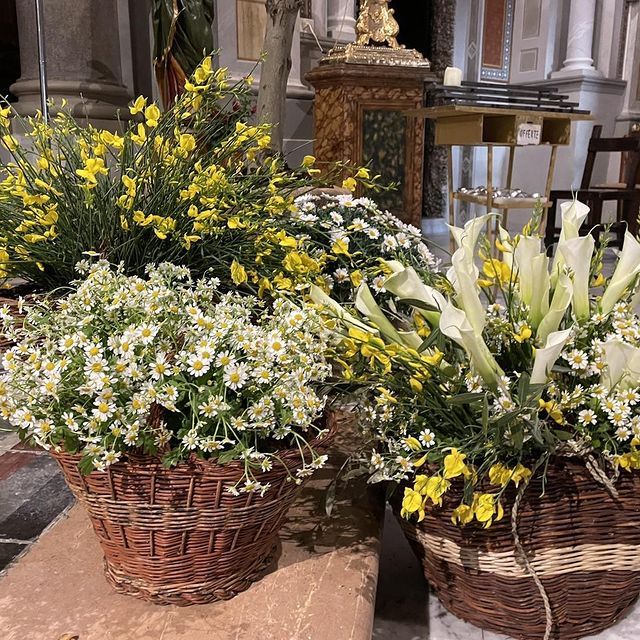 Cesti di fiori