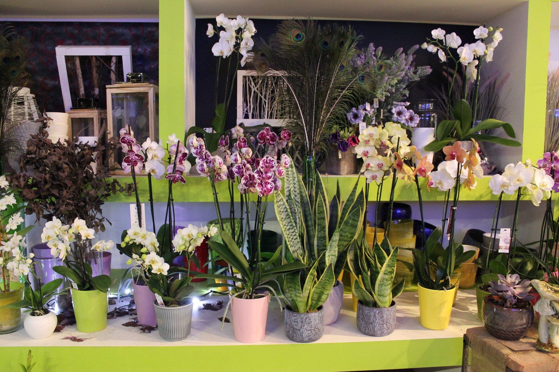 Composizione floreale