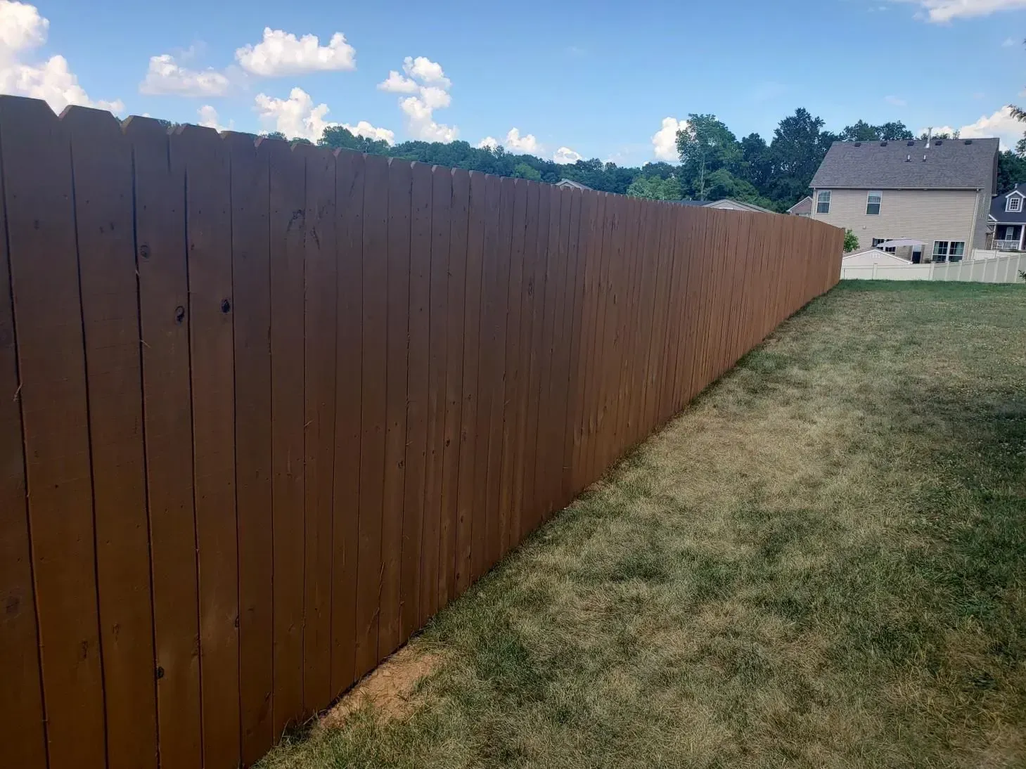 Brown wooden fence in backyard with dry grass and blue sky.