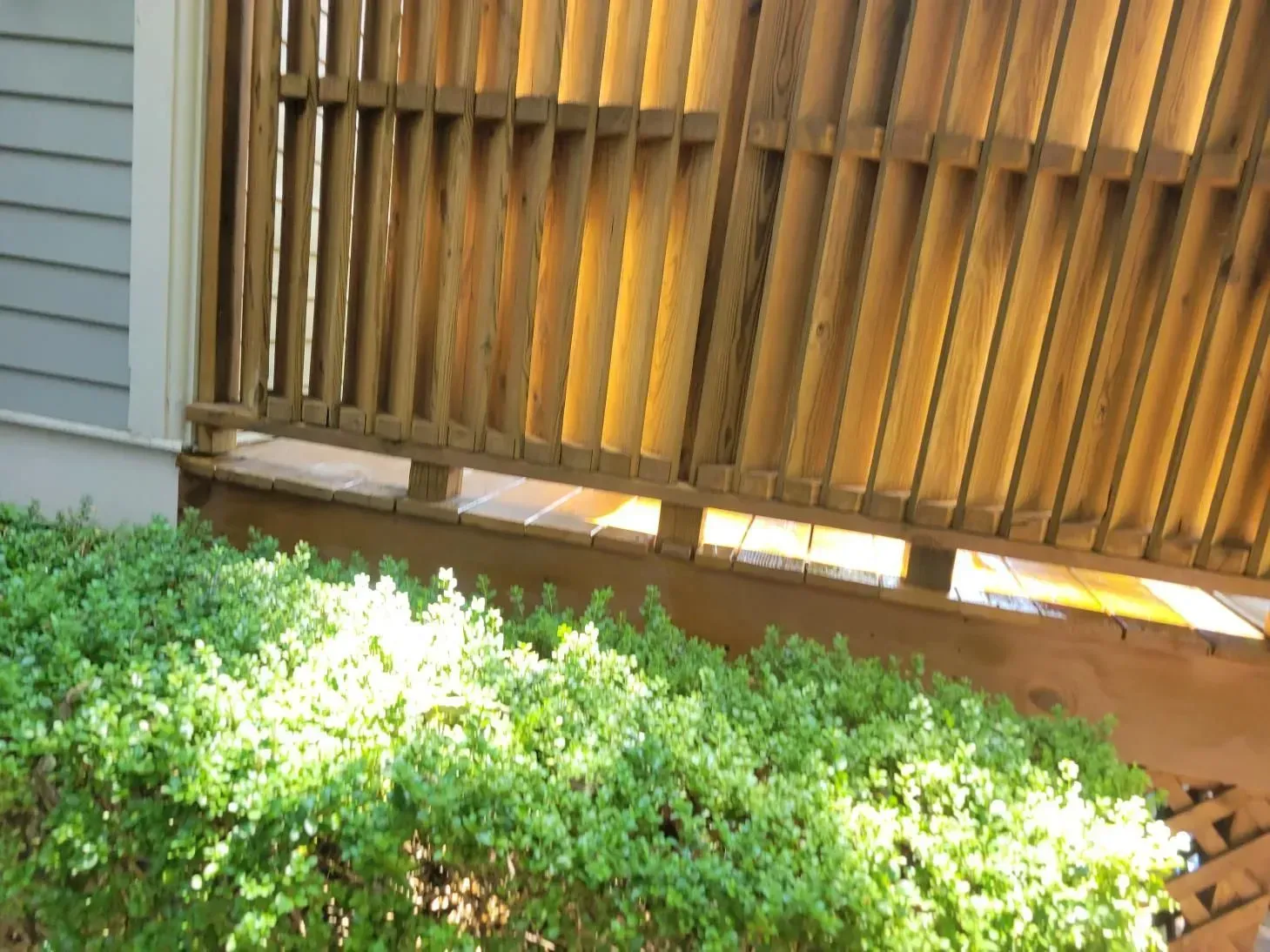 Wooden deck with slatted railing, above a green hedge and the side of a house.