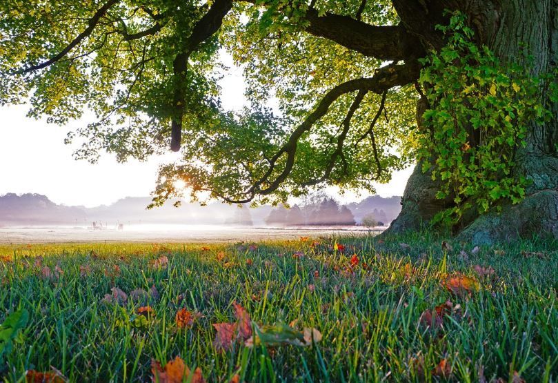 cremation service in Marlton, NJ