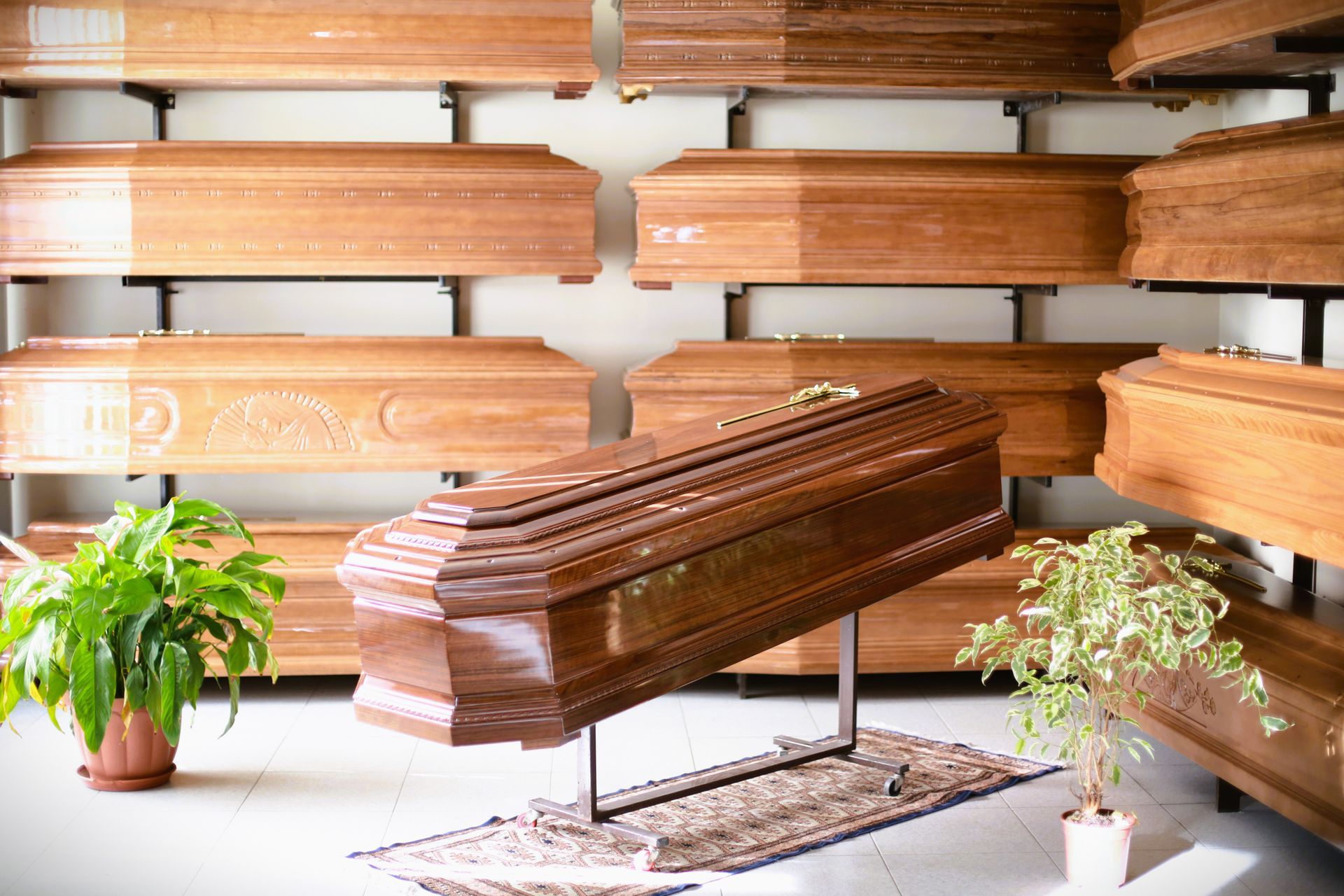 bare di legno e una pianta