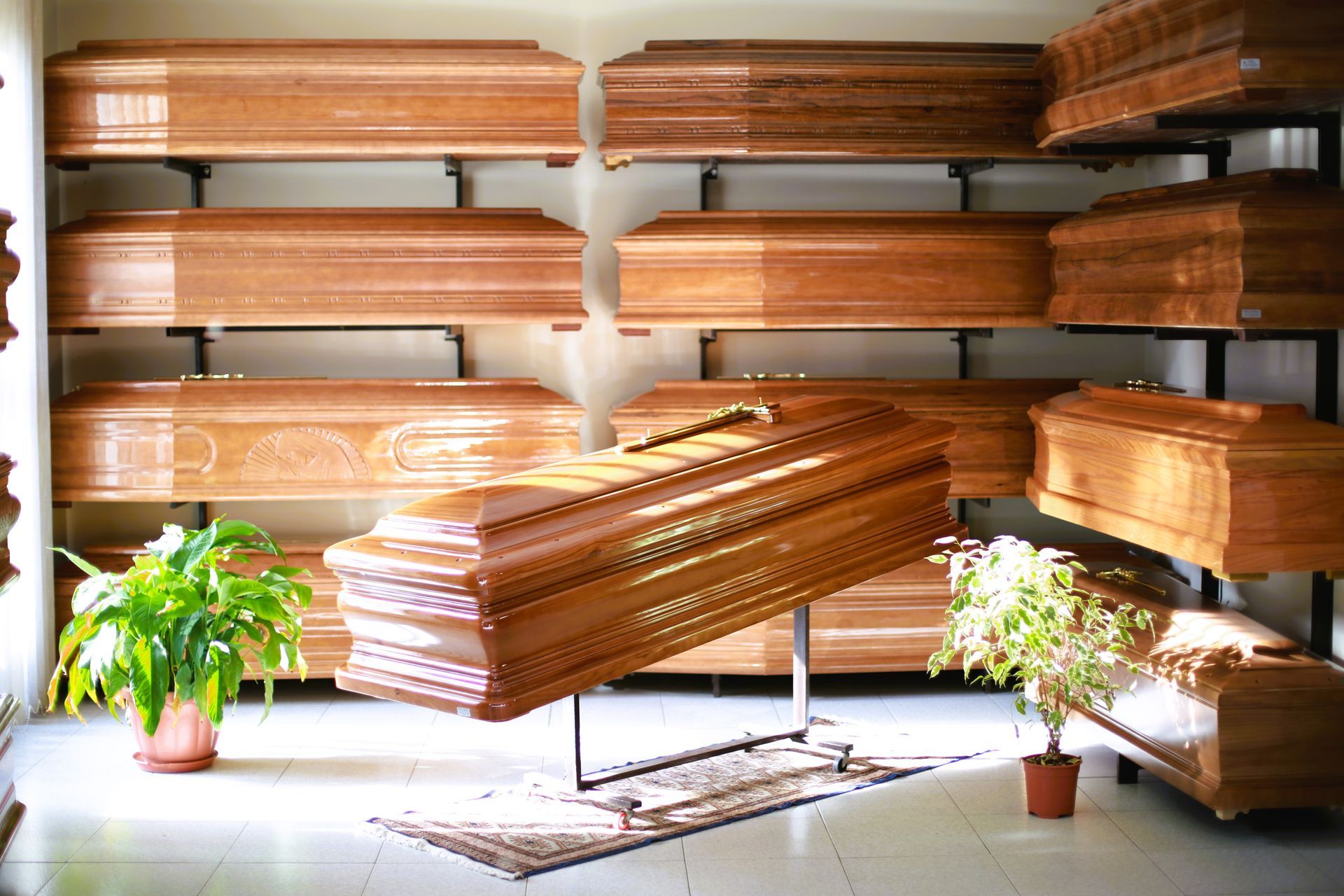 esposizione di bare di legno e una pianta