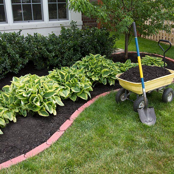 Mulching Around the Bushes — Dyer, IN — Star Landscaping