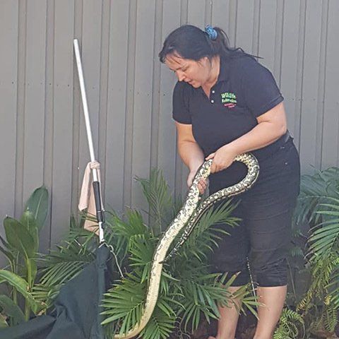 Professional Snake Catcher  — Animal Rescue & Relocation in Sunshine Coast, QLD