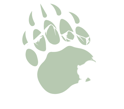 Maginnis Mountain Taxidermy logo