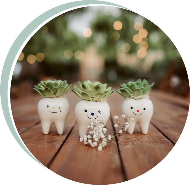 Three tooth-shaped planters with succulents, each with a different smiling face. 