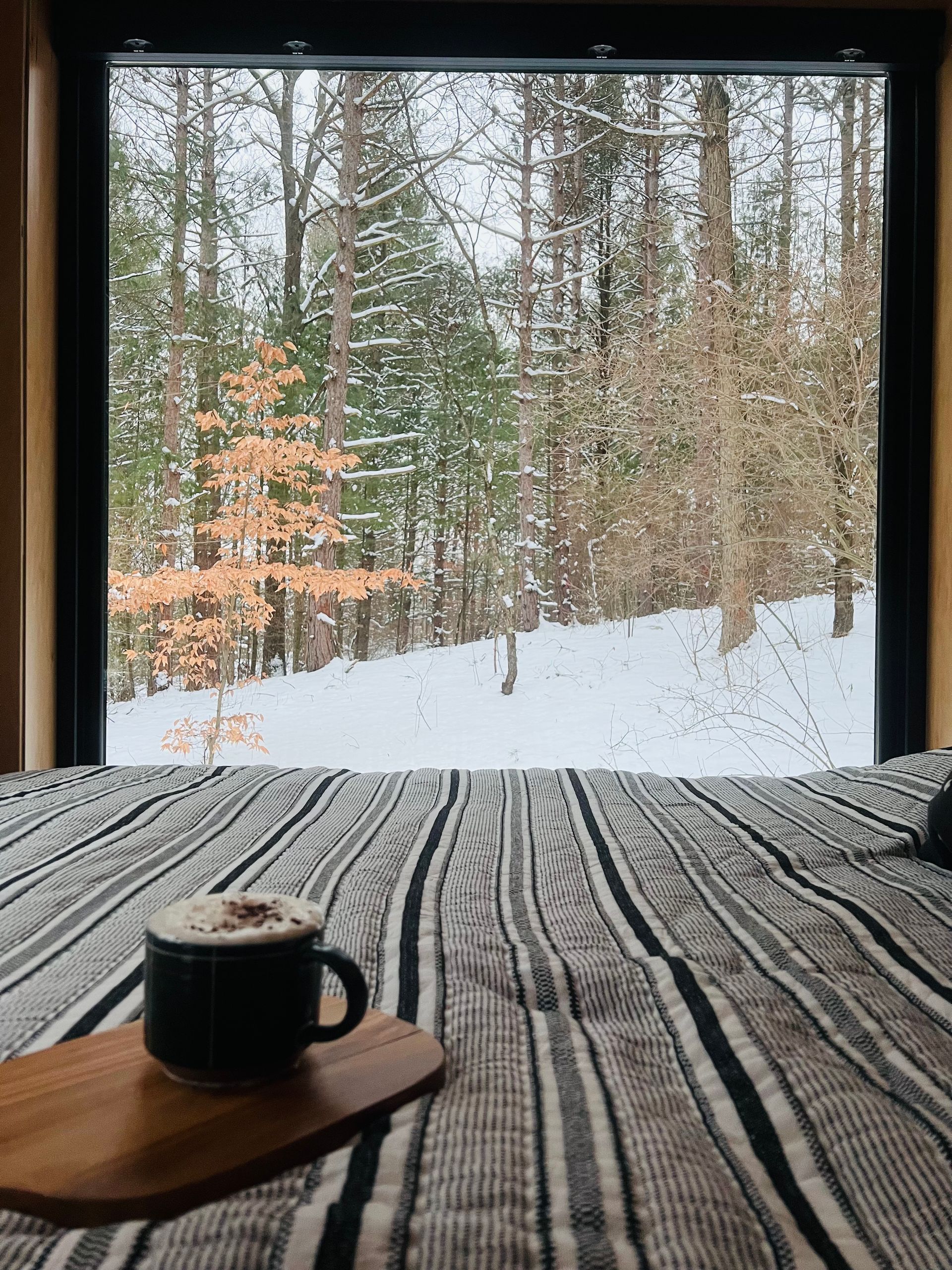 natures escape picture showcasing the window of the cabin