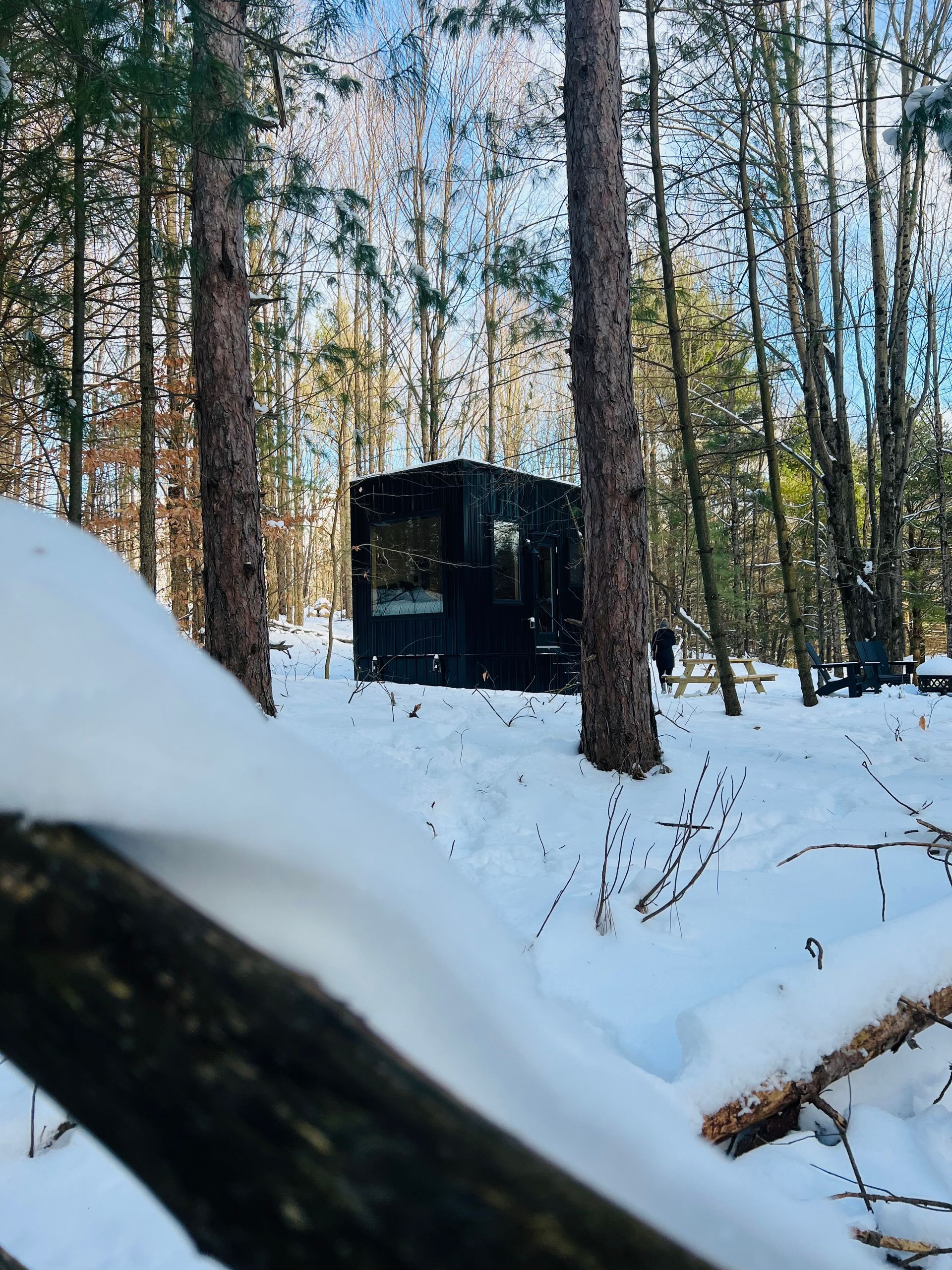 outside picture of natures escape