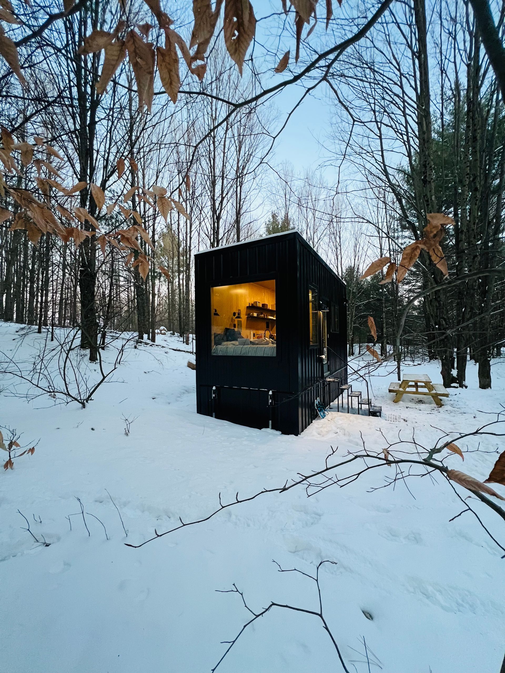 Natures Escape outdoor view of the cabin