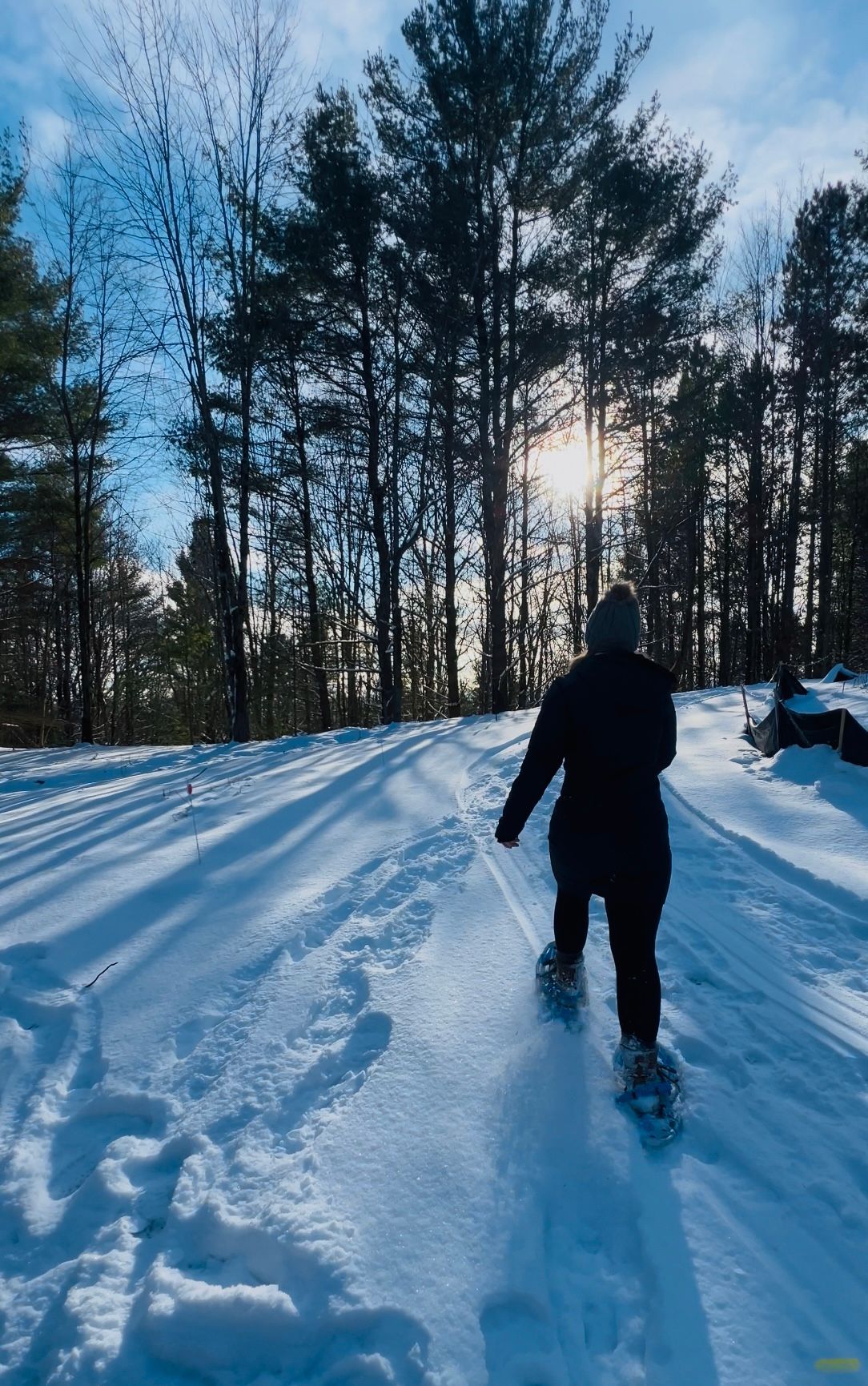 natures escape snow shoeing 