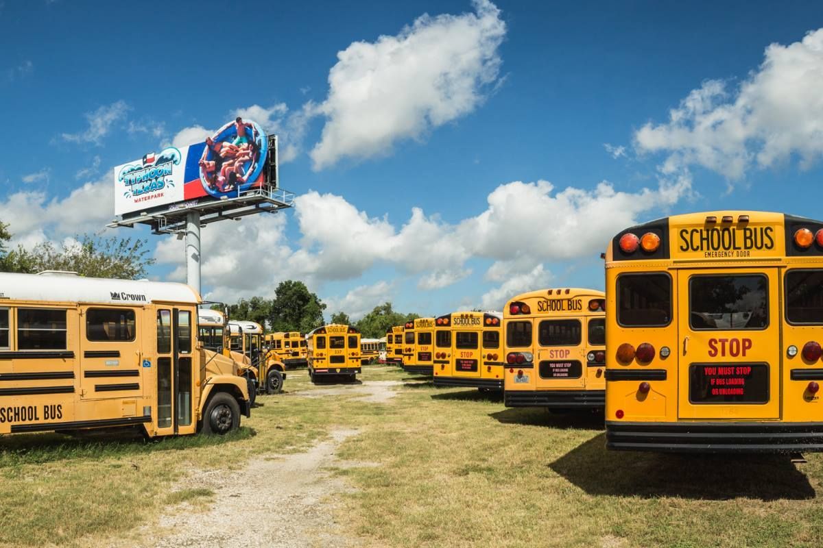 A row of school buses are parked in a grassy field.