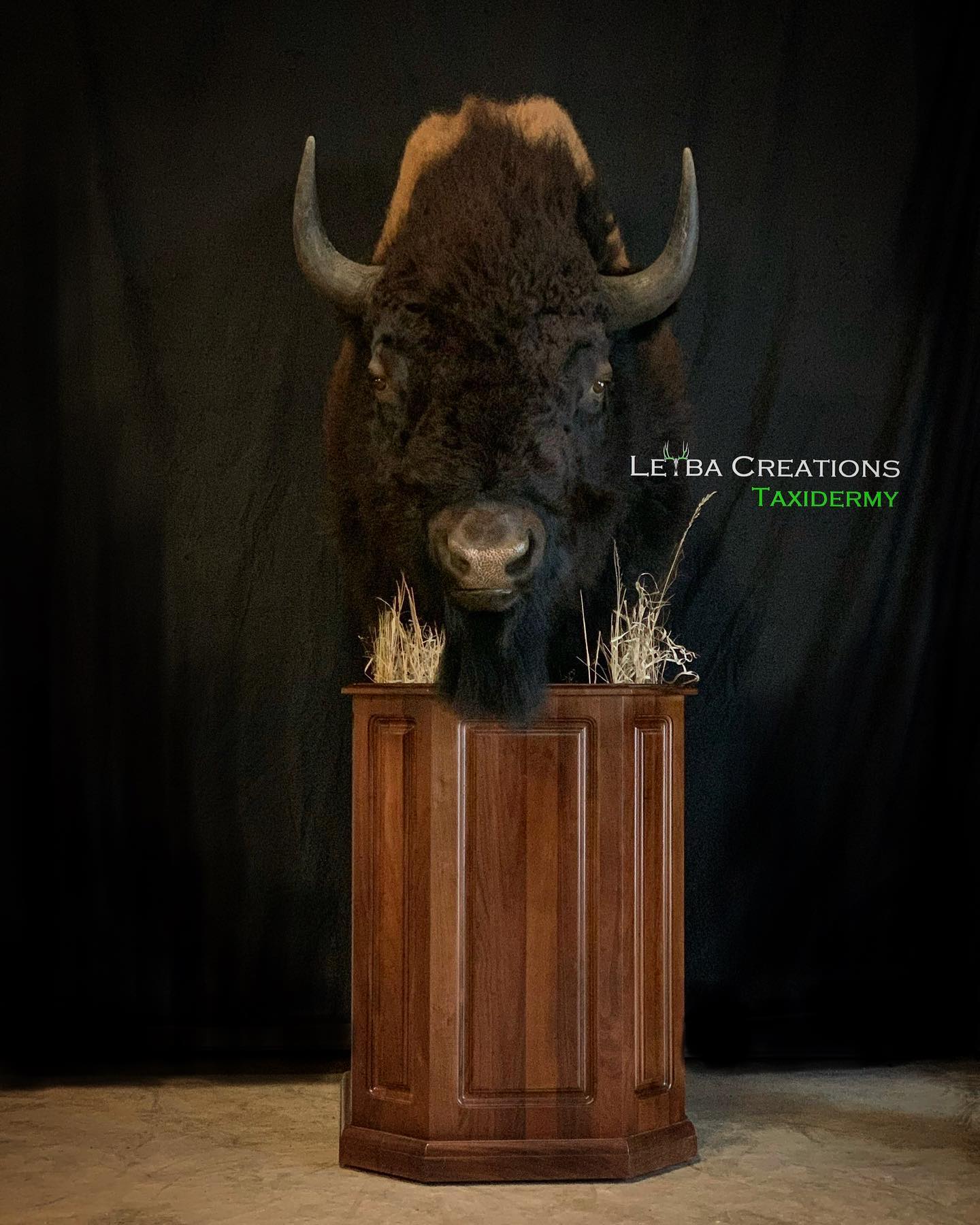 A bison head is sitting on top of a wooden pedestal.