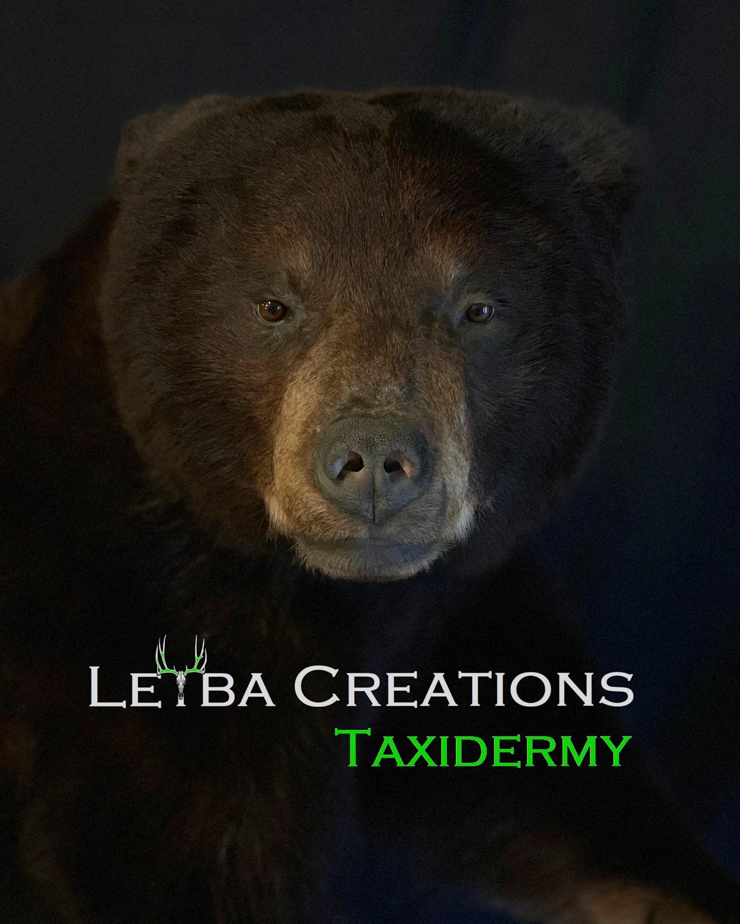 A black bear is on a poster that says letba creations taxidermy