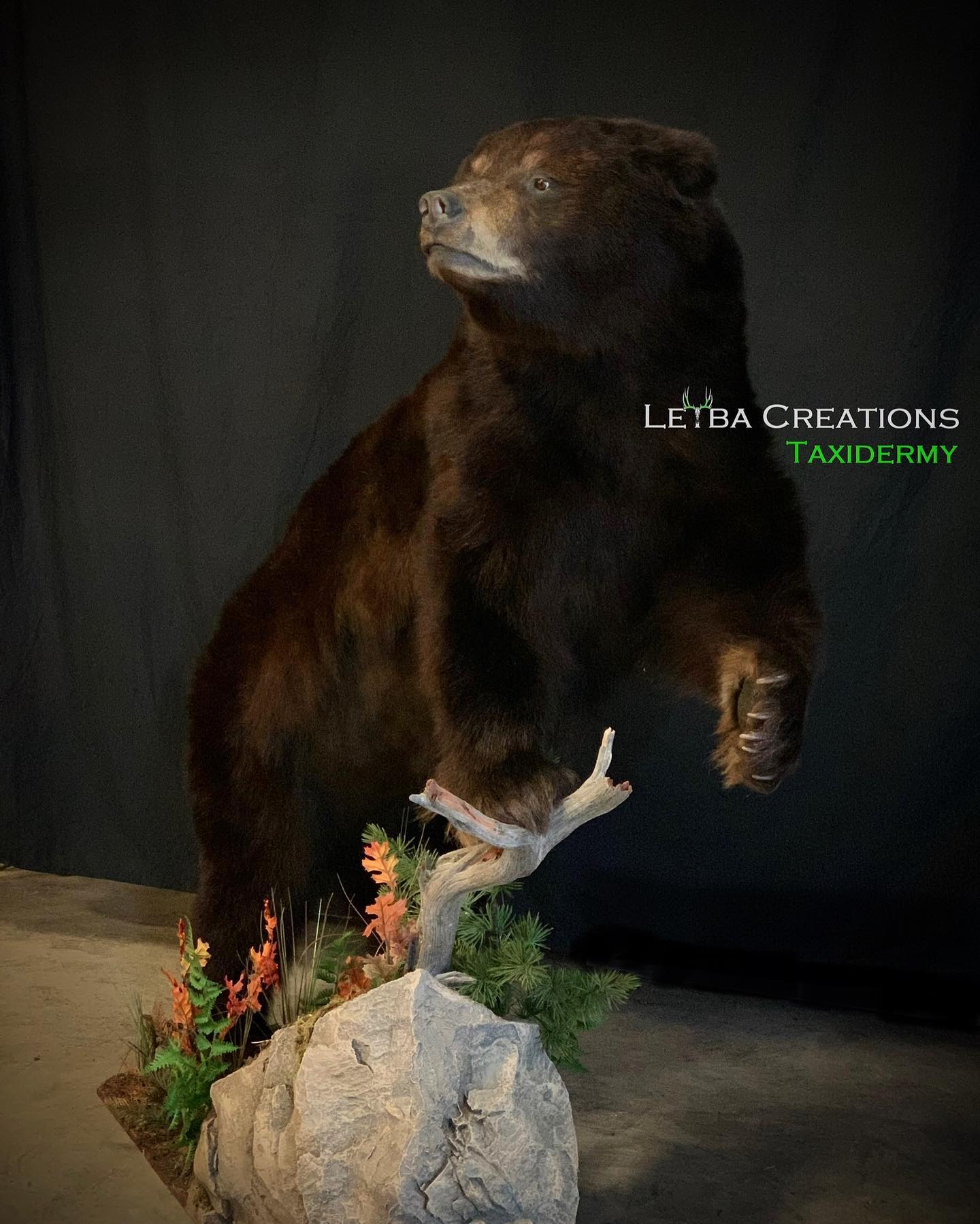 A stuffed brown bear is standing on its hind legs on a rock.