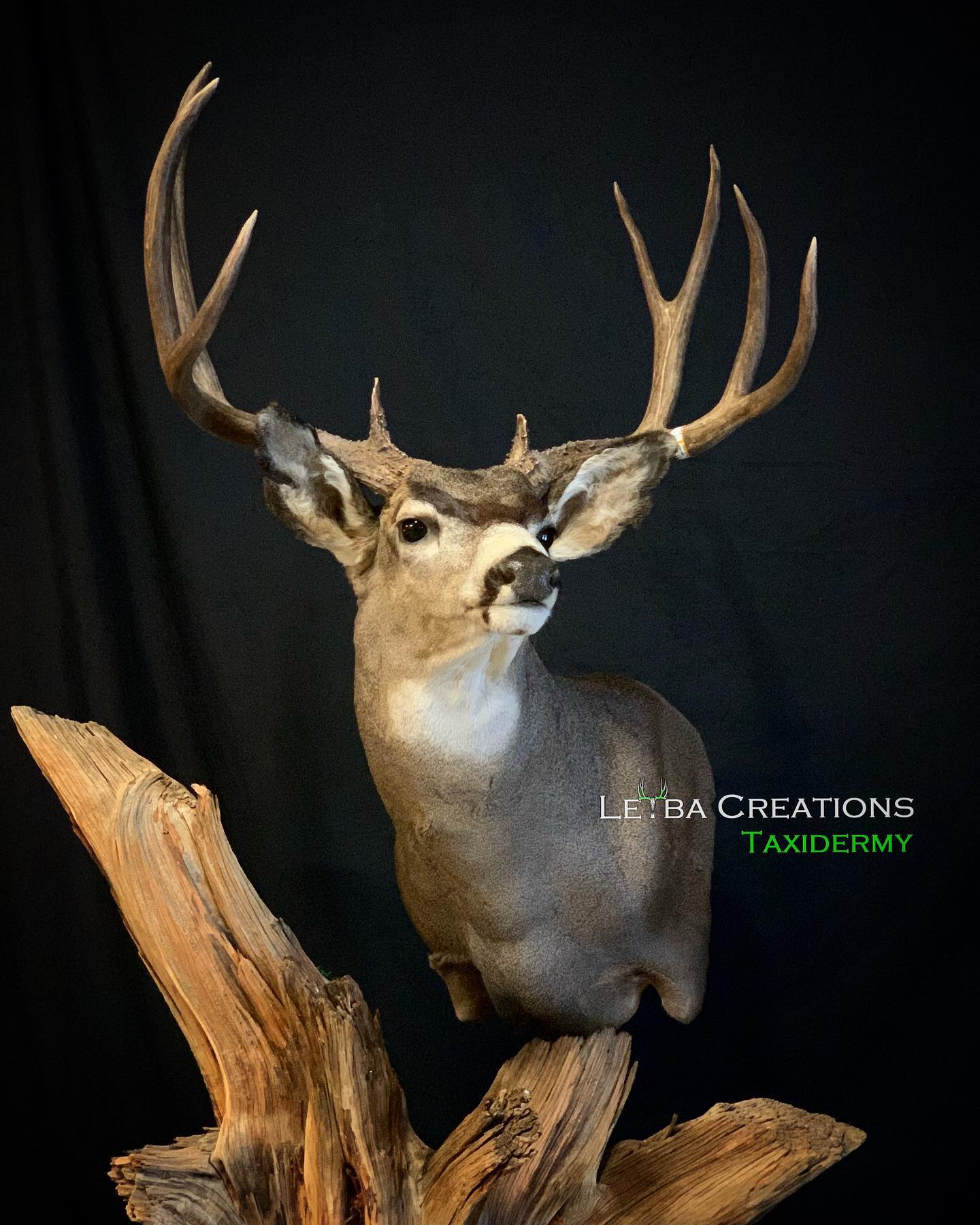 A stuffed deer is sitting on a piece of wood.