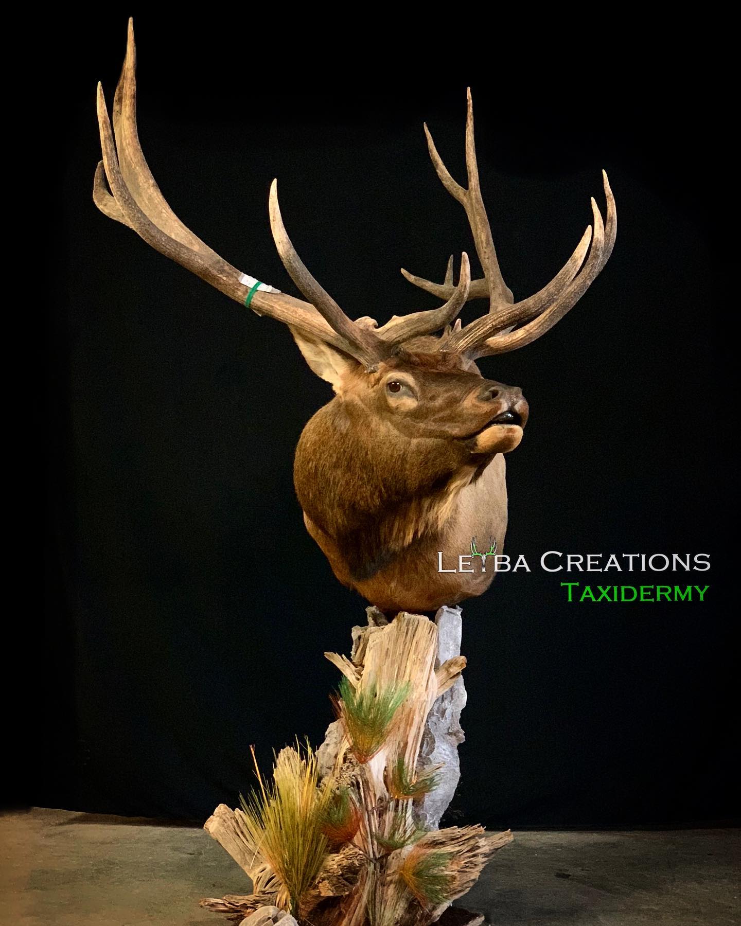 A stuffed deer head is sitting on top of a tree stump.