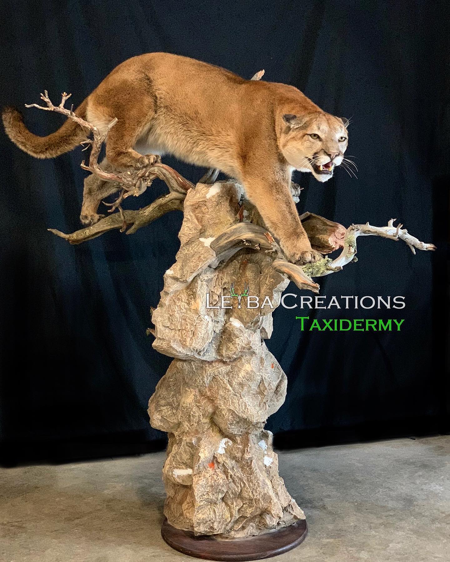 A stuffed mountain lion is sitting on top of a tree branch.