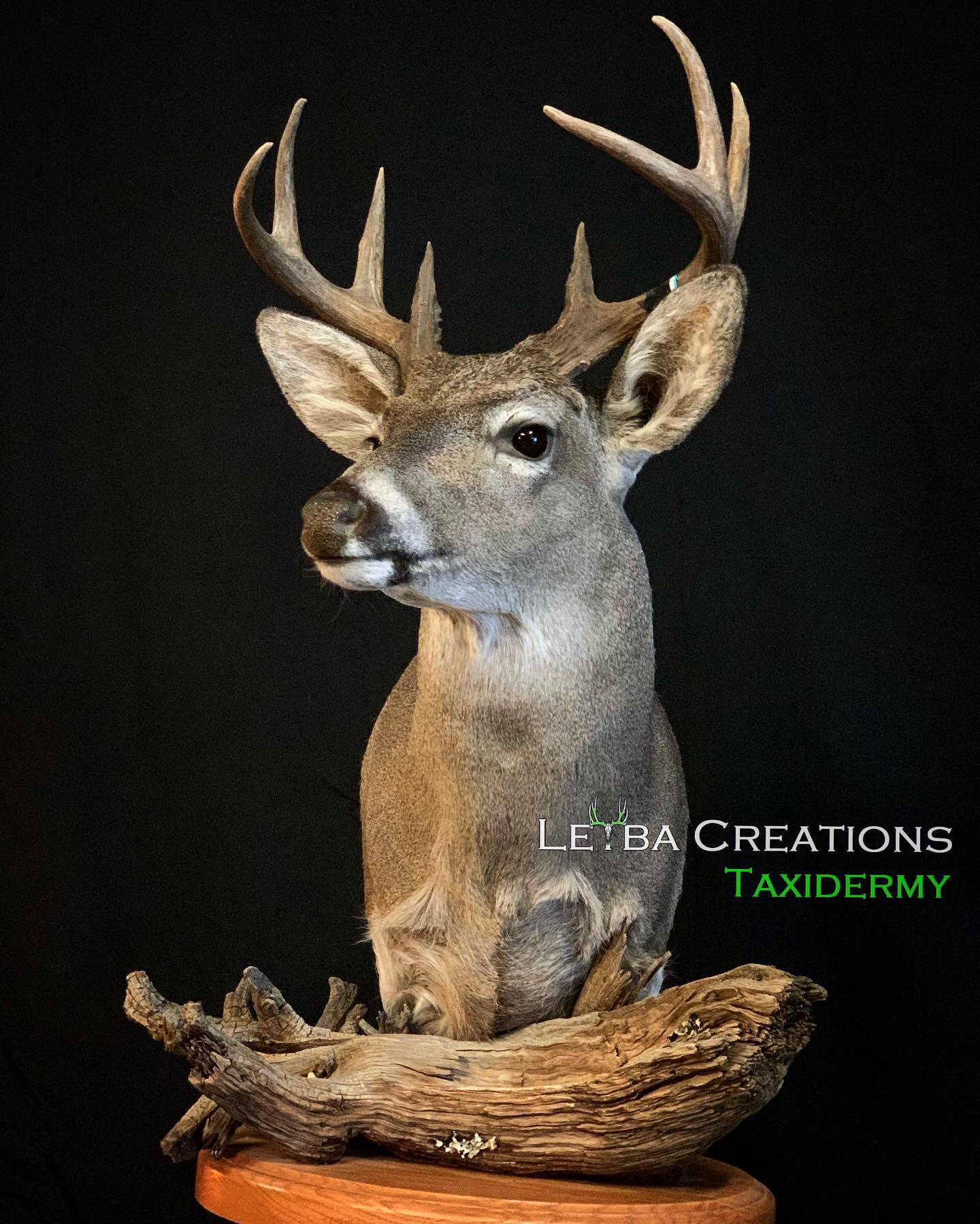 A stuffed deer is sitting on a piece of driftwood.