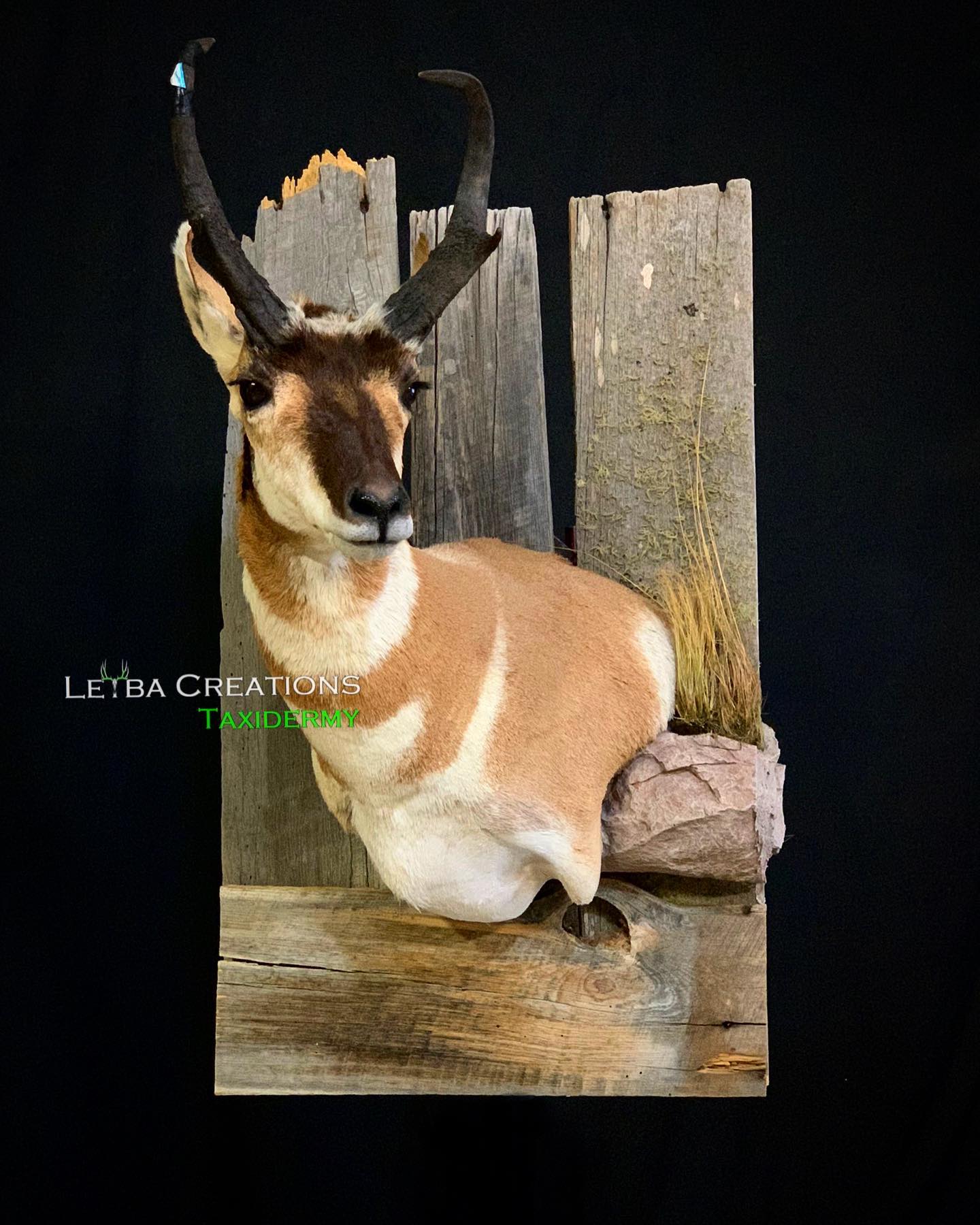 A stuffed antelope is sitting on a wooden post.